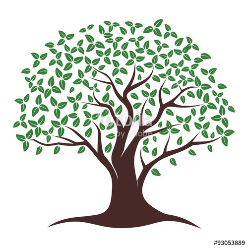 500x500 Oak Tree Vector Stock Image And Royalty Free Vector Files On