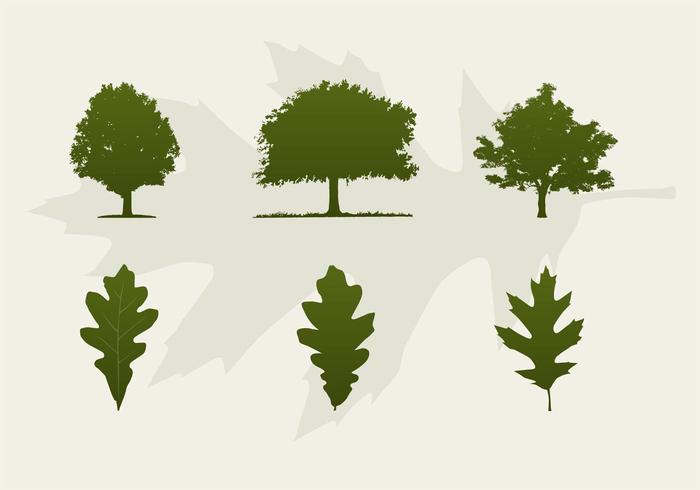 700x490 Oak Trees And Leaves Vector Silhouettes