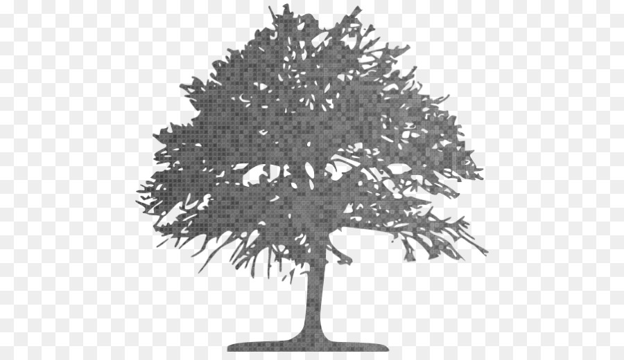 900x520 Tree Clip Art Computer Icons Oak Vector Graphics