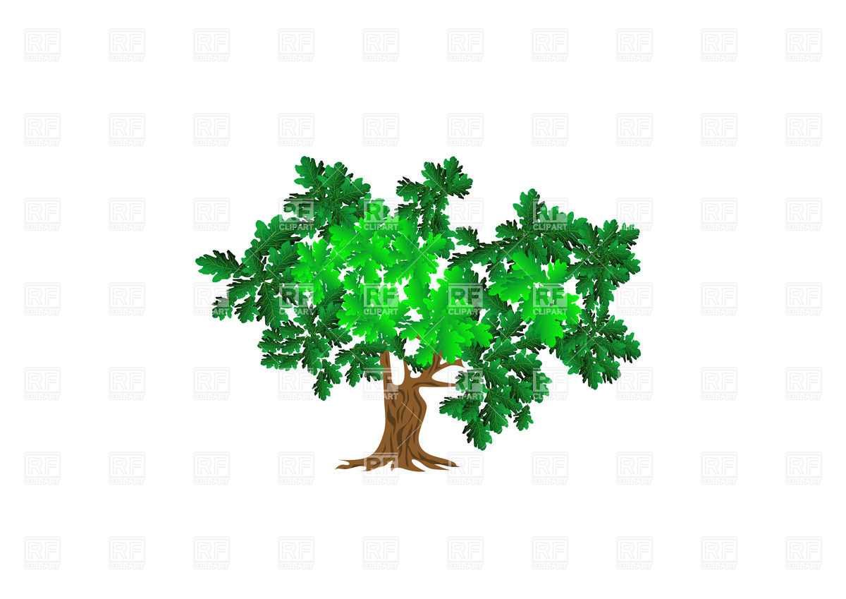 1200x849 Green Oak Tree Vector Image Vector Artwork Of Plants And Animals