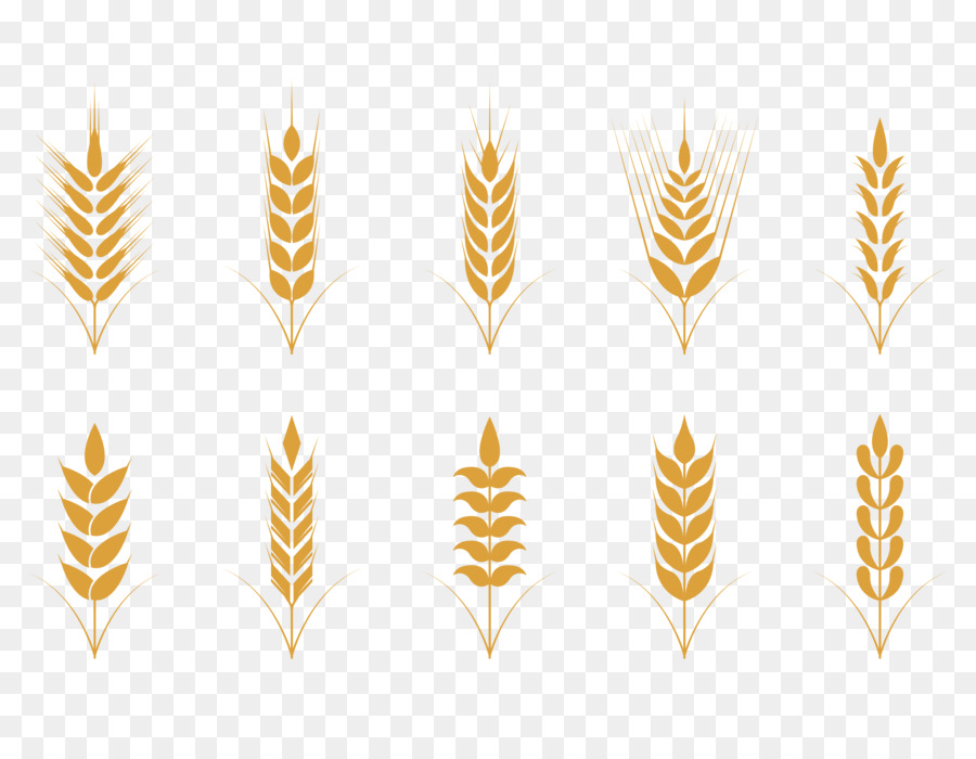 900x700 Oat Cereal Wheat Icon