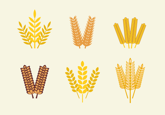700x490 Oats Free Vector Art