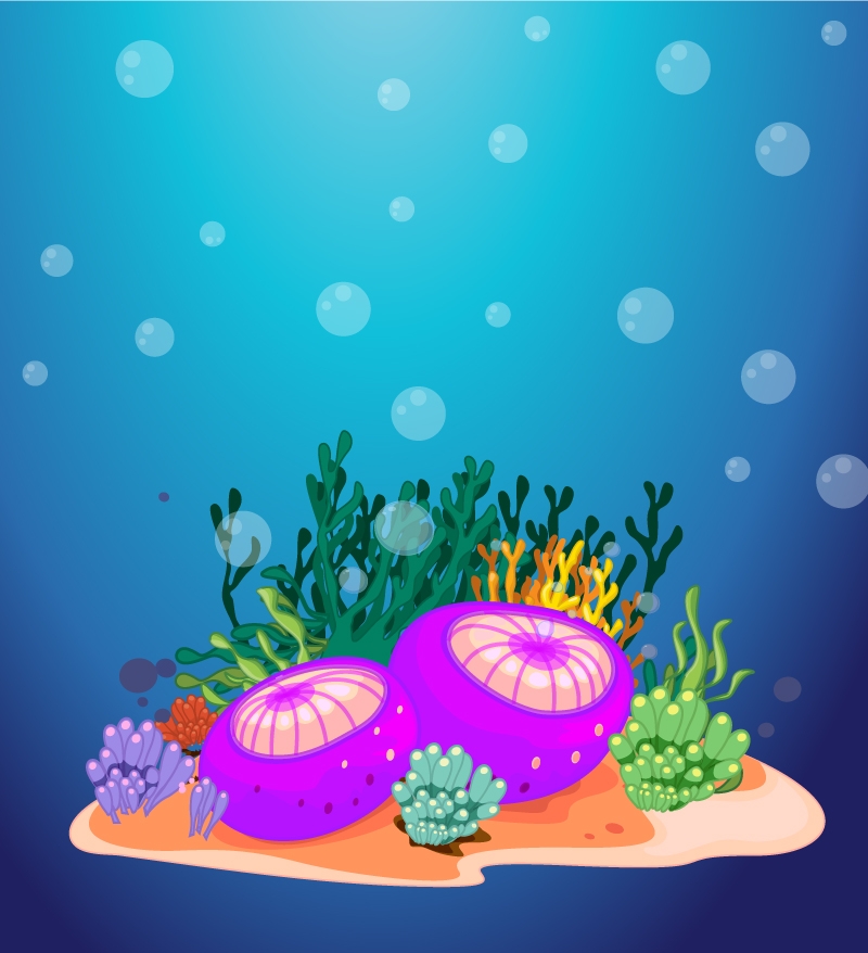 800x878 Freepiker Ocean Vector