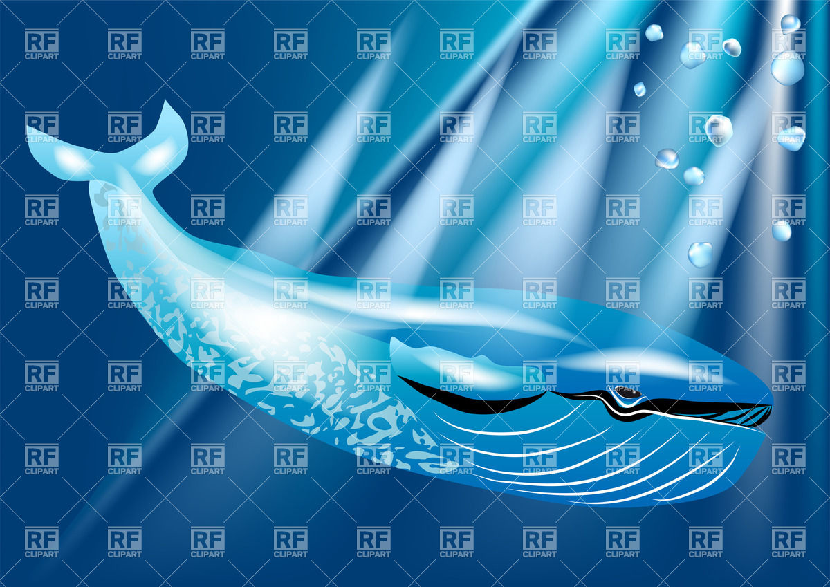 1200x849 Blue Whale In Ocean Vector Image Vector Artwork Of Plants And