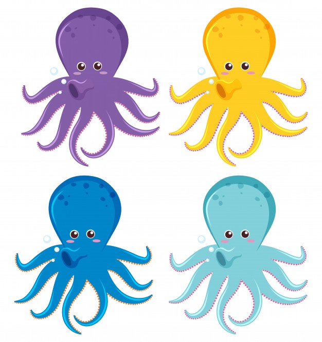626x666 Octopus Vectors, Photos And Psd Files Free Download