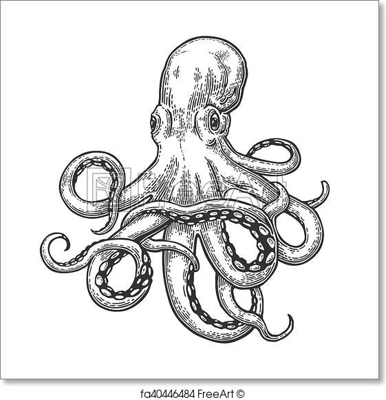 561x581 Free Art Print Of Octopus. Sea Monster. Octopus. Vector Black