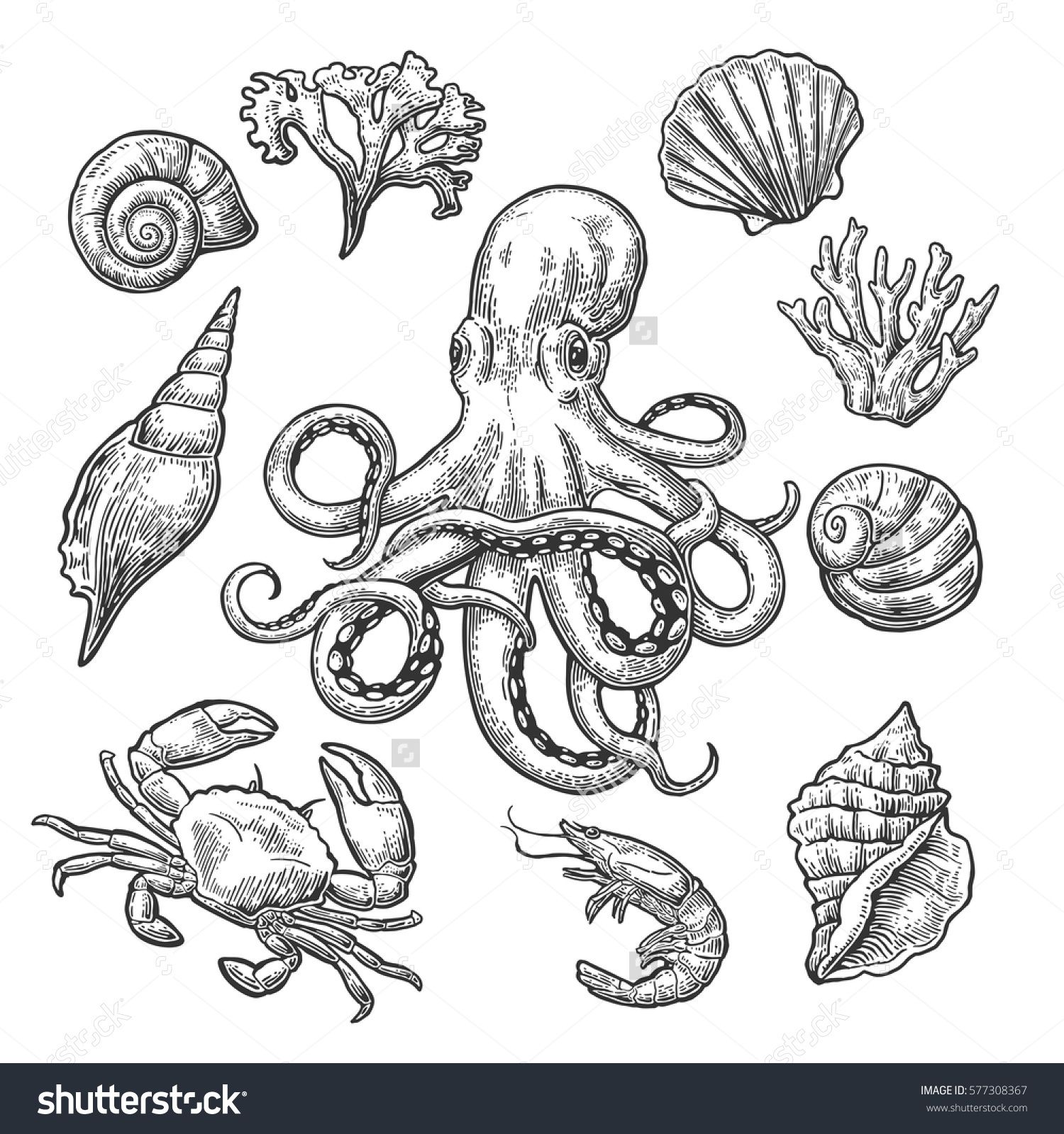 1500x1600 Set Sea Shell, Coral, Crab, Shrimp And Octopus. Vector Black