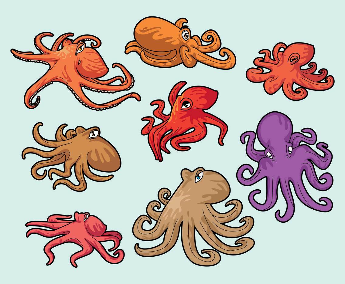 1136x936 Free Carton Octopus Vector Vector Art Amp Graphics