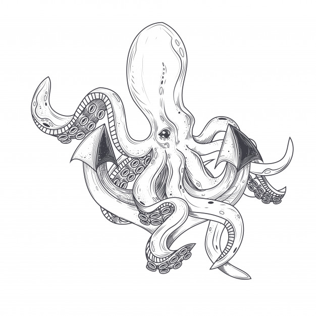 626x626 Octopus Vectors, Photos And Psd Files Free Download