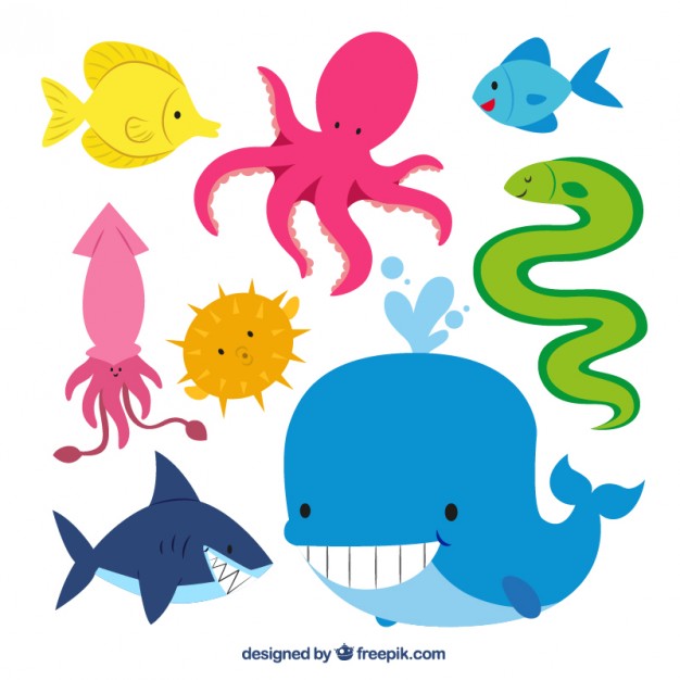 626x626 Octopus Vector Free