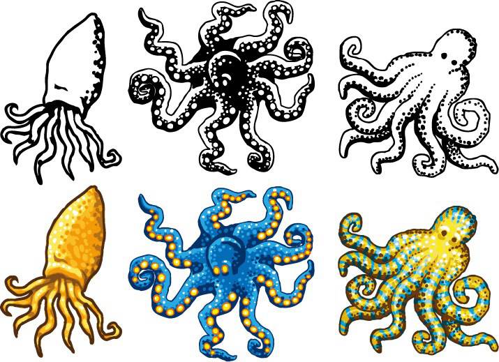 715x519 Octopus Vector Aquatic Organisms Free Vector Download