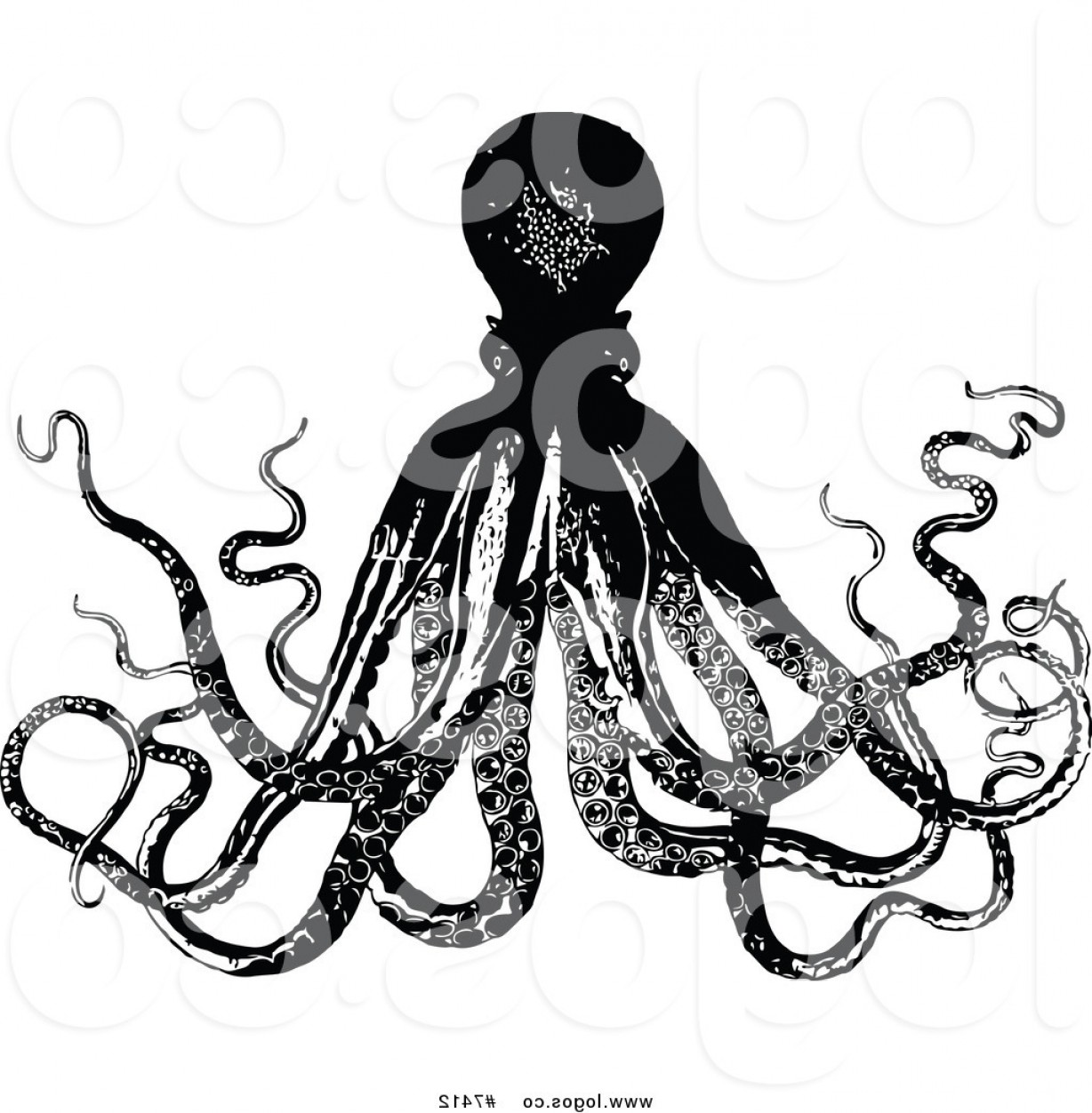 Octopus Vector Art Free at GetDrawings | Free download