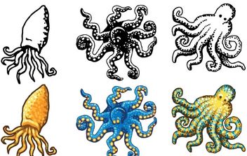 352x223 Free Octopus Vector Free Vector Download 267595 Cannypic