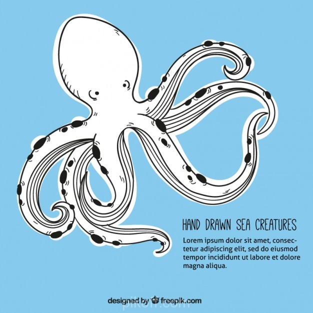 626x626 Ai] Hand Drawn Octopus Background Vector Free Download