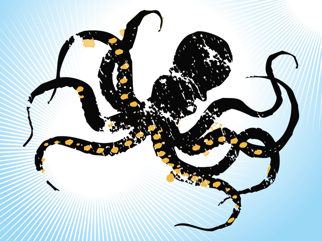 1024x767 Sketchy Octopus Vector Art Amp Graphics