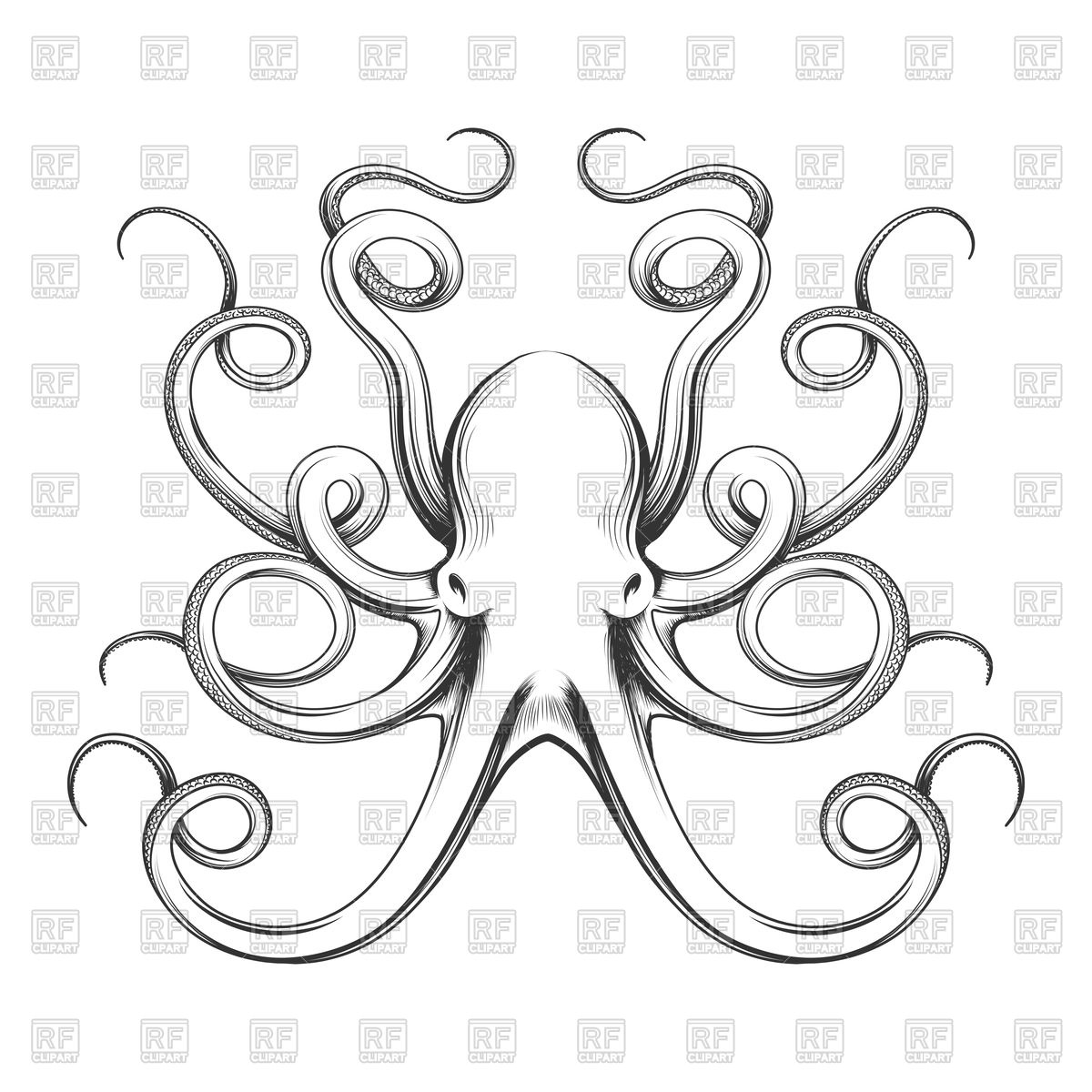 1200x1200 Hand Drawn Octopus Vector Image Vector Artwork Of Signs, Symbols