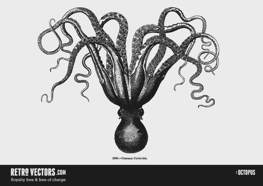 841x596 Octopus Free Retro Vectors