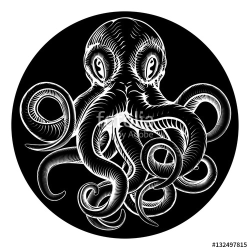 500x500 Octopus Vintage Woodcut Engraved Etched Style Stock Image And