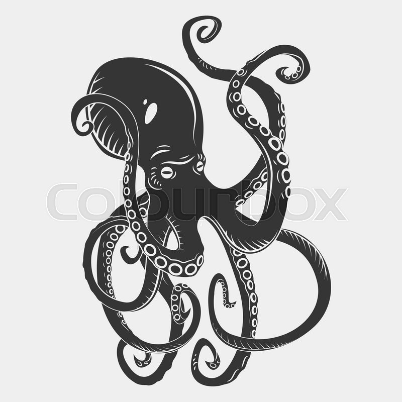 800x800 Black Danger Cartoon Octopus Characters With Curling Tentacles