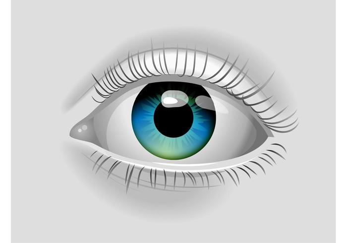 700x490 Ojo Vectorial Realista