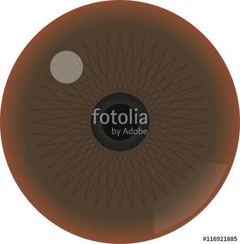 491x500 Ojo Cafe Stock Image And Royalty Free Vector Files On