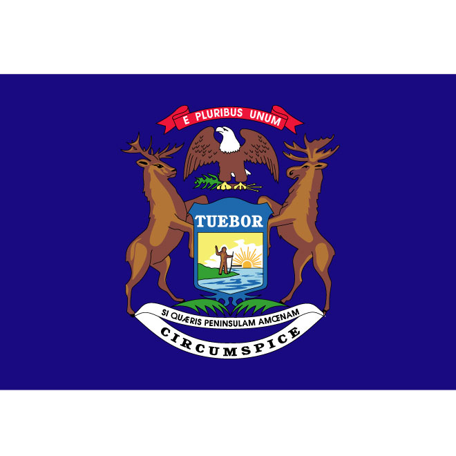 660x660 Michigan Vector Flag