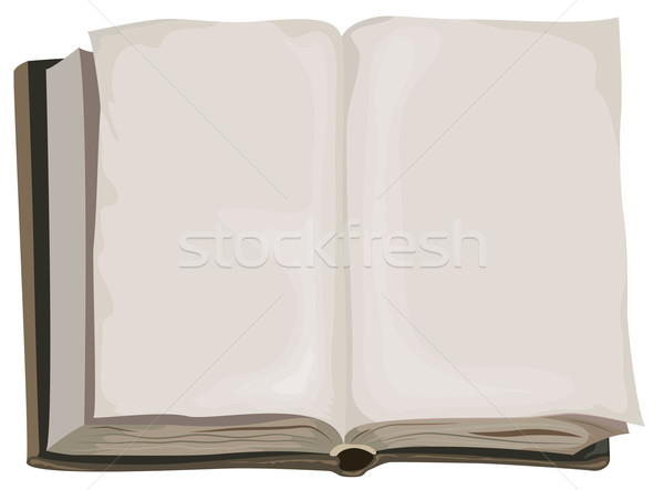 600x443 Brown Old One Open Book Vector Illustration Alexey Grigorev