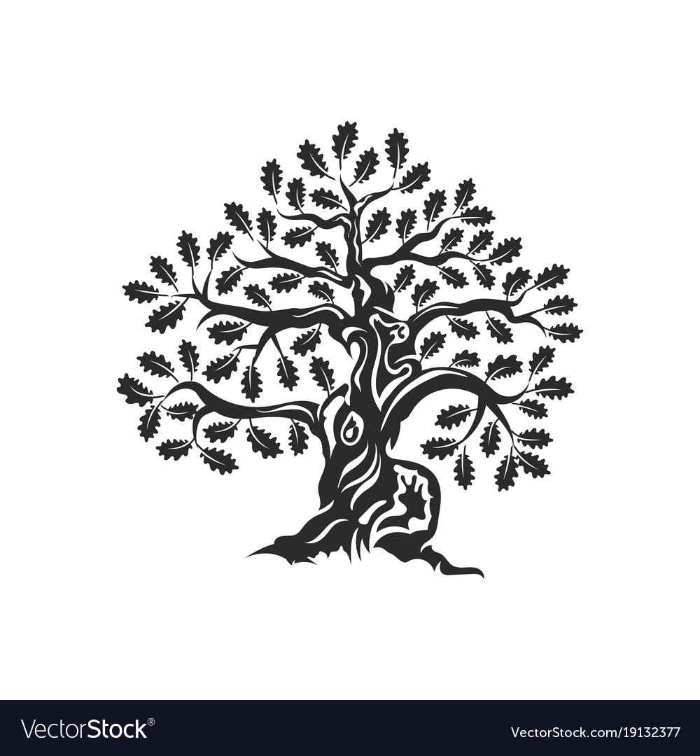 1000x1080 Oak Tree Silhouette Old Tree Vector Stock Vector 555652057