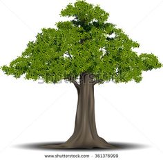 236x232 Old Tree Vector Design And Green Leaf Vector Sdart