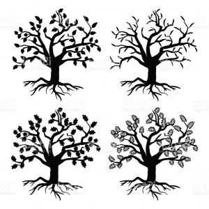 300x300 Park Old Trees Vector Tree Silhouettes With Roots And Leaves Gm