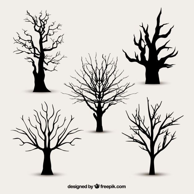 626x626 Tree Branch Vectors, Photos And Psd Files Free Download