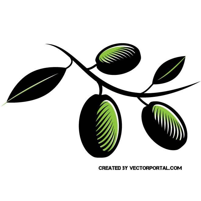 660x660 Olive Branch