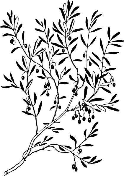 420x595 Olive Branch Clip Art Free Vector In Open Office Drawing Svg