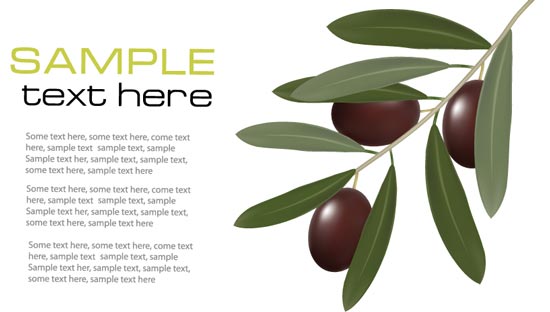 550x312 Olive Branch Vector Cards