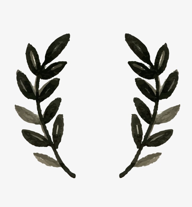 650x701 Vector Olive Branch, Branch Vector, Olive Leaf, Green Leaves Png