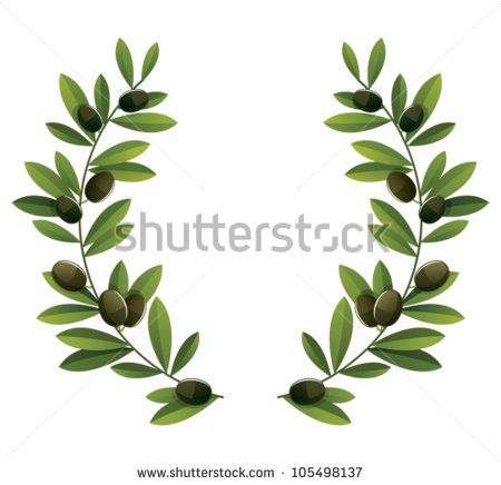 450x436 Image Result For Olive Branch Vector Fikirleri