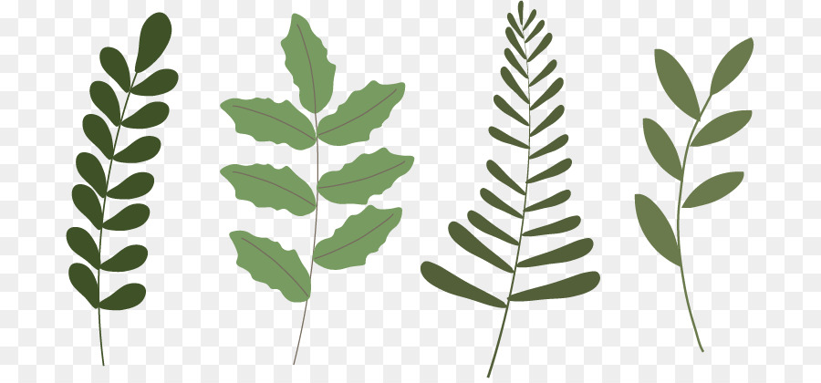 900x420 Leaf Plant Poinsettia