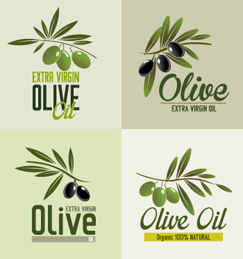 345x368 Olive Branch Free Vector Download (1,528 Free Vector) For