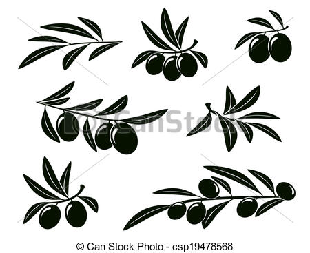 450x367 Set Of Olive Branch. Set Of Isolated Olive Branches On White