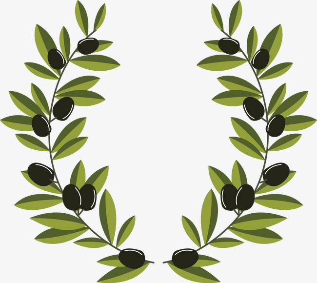 650x580 Vector Olive Branch Decoration, Branch Vector, Decoration Vector