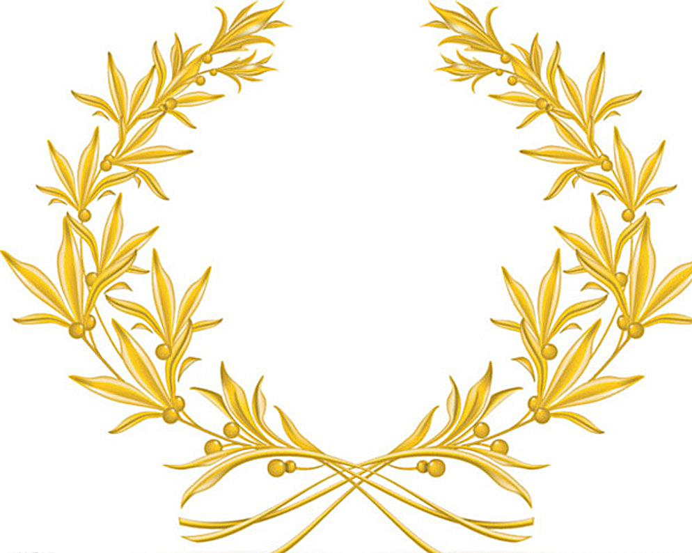 994x794 Golden Olive Branch Vector Picture Free Download Eps Files