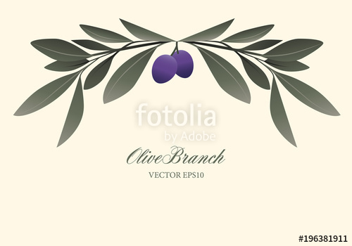 500x350 Olive Branch Wreath Isolated. Vector Illustration Stock Image And