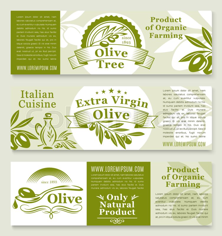 752x800 Olive Oil Product Banners Templates. Fresh Green Olive Fruits