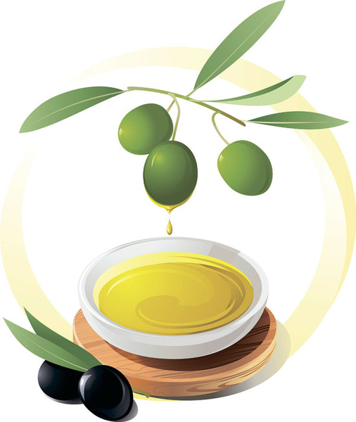 506x600 Olives And Olive Oil Vector Free Vector In Encapsulated Postscript