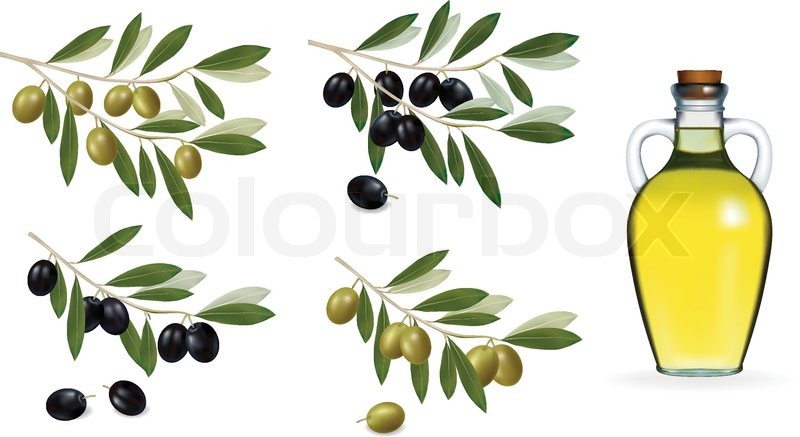 800x437 Vector Illustration. Big Set With Green And Black Olives And