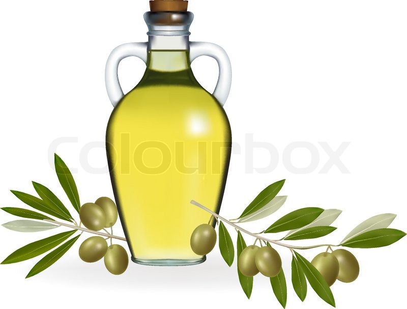 800x607 Vector Illustration. Olives With Bottle Of Olive Oil. Stock