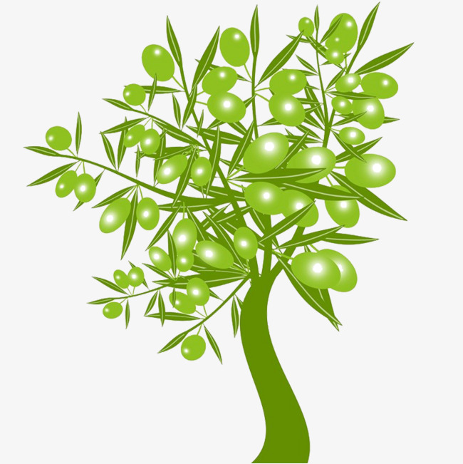 650x651 Olive Tree Download, Tree Clipart, Trees, Vector Png Image And