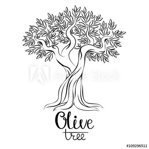 500x500 Olive Tree Vector Illustration. Olive Oil. Vector Olive Tree For