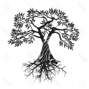 300x300 Photostock Vector Black Olive Tree Vector Illustration Arenawp