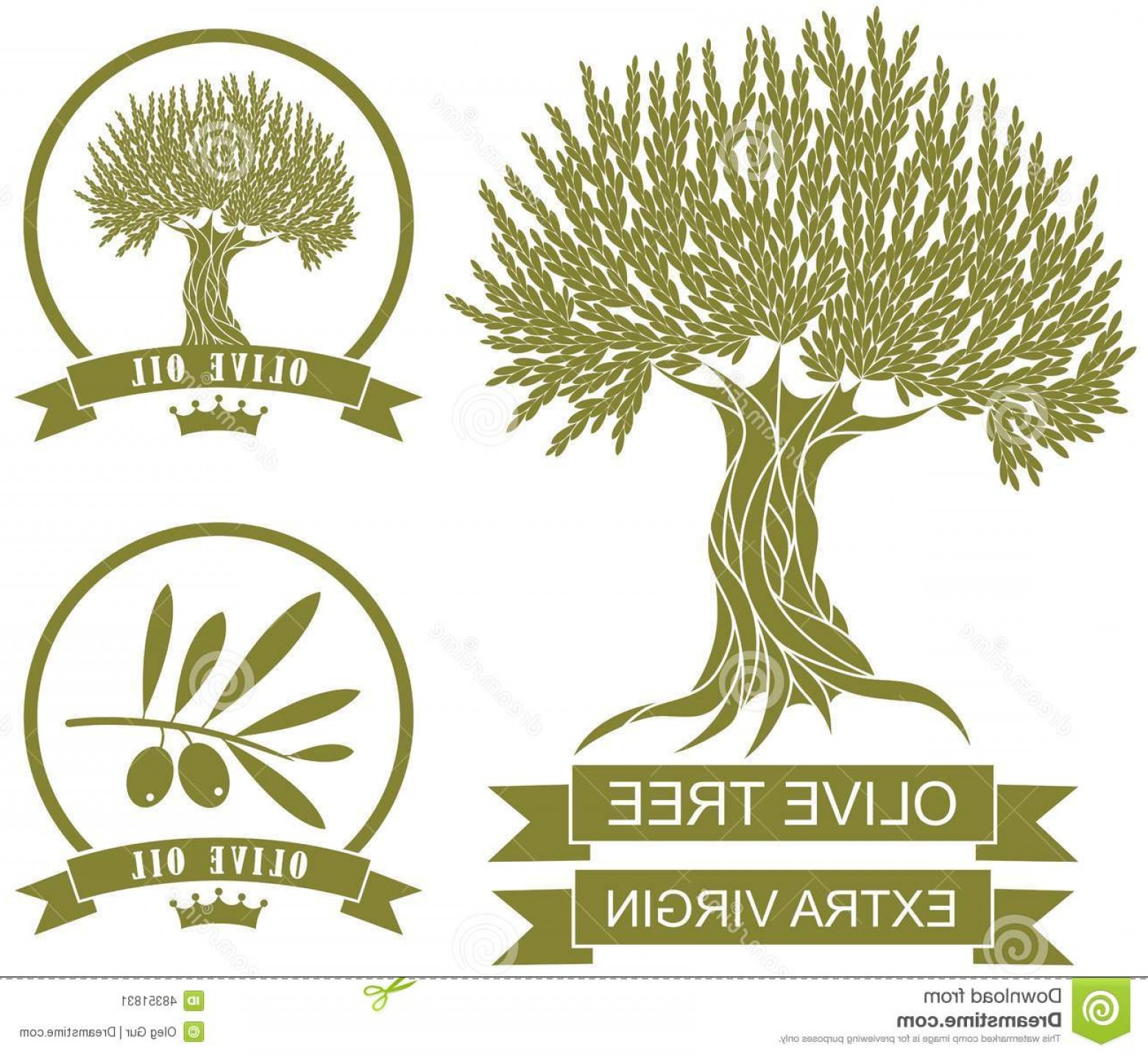 1560x1435 Stock Illustration Olive Tree Vector Illustration Eps Image Arenawp